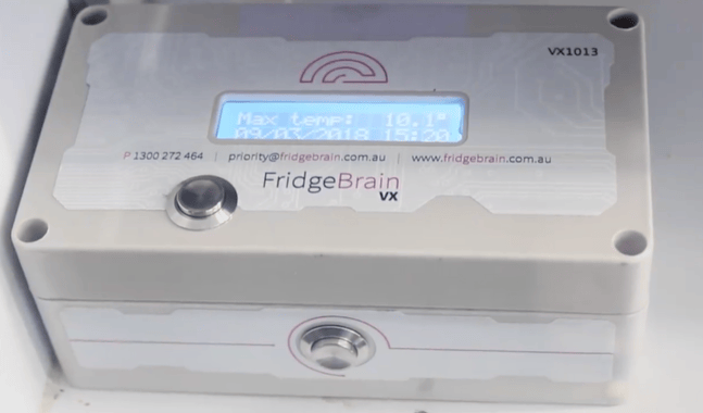 1FridgeBrain1 1FridgeBrain1
