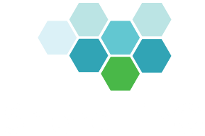 ShoreLinQ Logo Light - Cropped